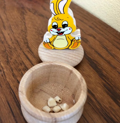 scatolina denti da latte
